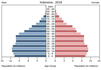 Indonesia's population pyramid